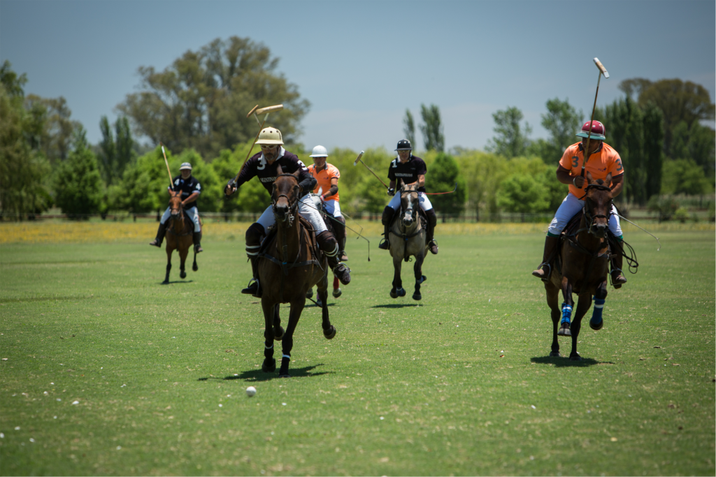 DÍA DE POLO EN FAMILIA Y CON AMIGOS