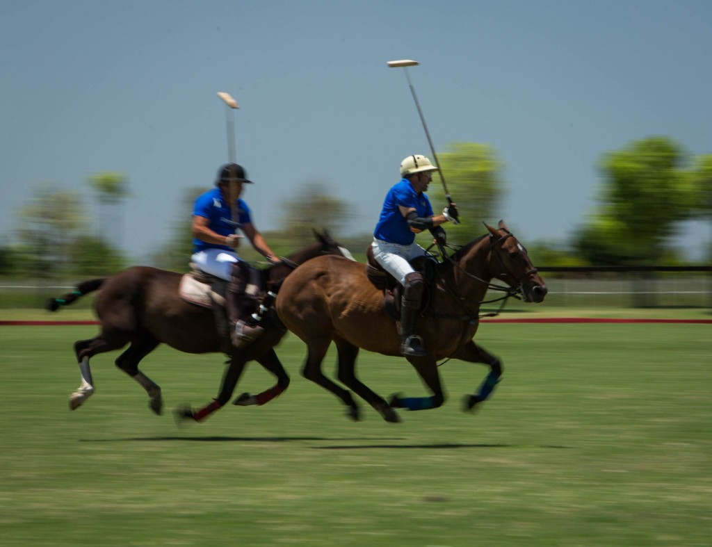 check out a polo game