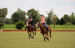 being-a-polo-pro
