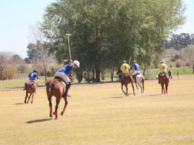 Polo Holidays