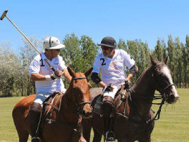 Polo Holidays