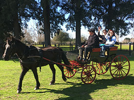 argentina-polo-day-group