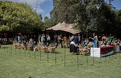 argentina-polo-day-group