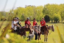 full-polo-day-program