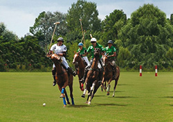 half-polo-day-play-match