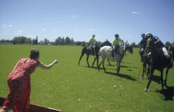 being-a-polo-pro