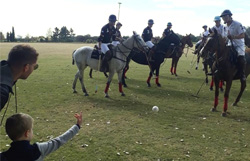 being-a-polo-pro