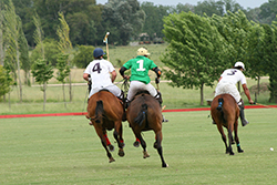 polo-holiday-game