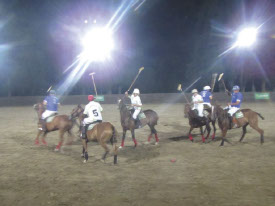 argentina-polo-day-group