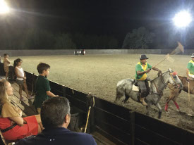 argentina-polo-day-group