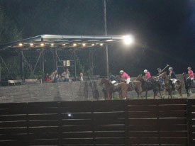 argentina-polo-day-group