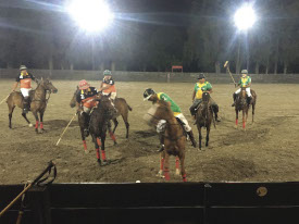 argentina-polo-day-group